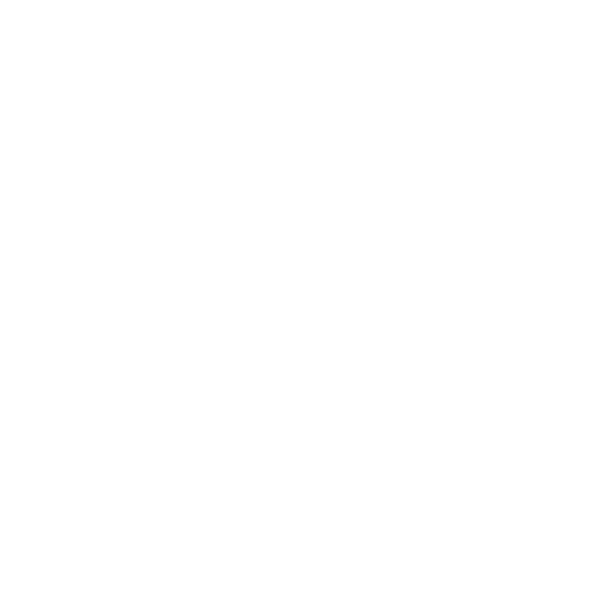 Live Vibe Logo